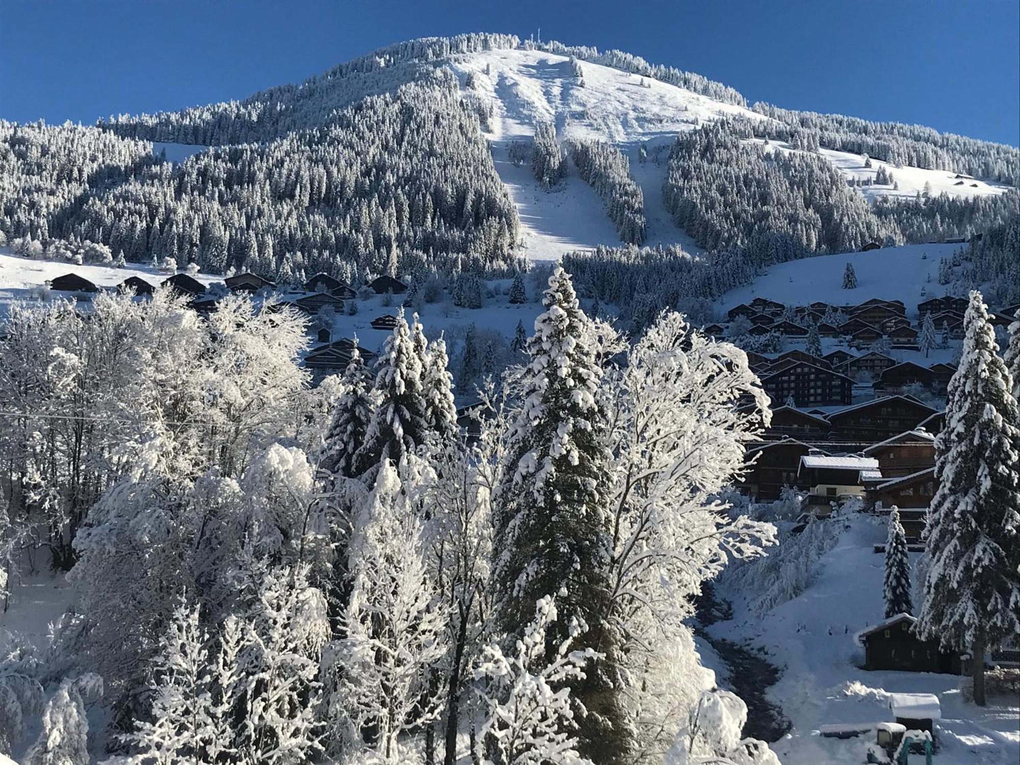 Au Bois De Lune Chatel Exterior photo