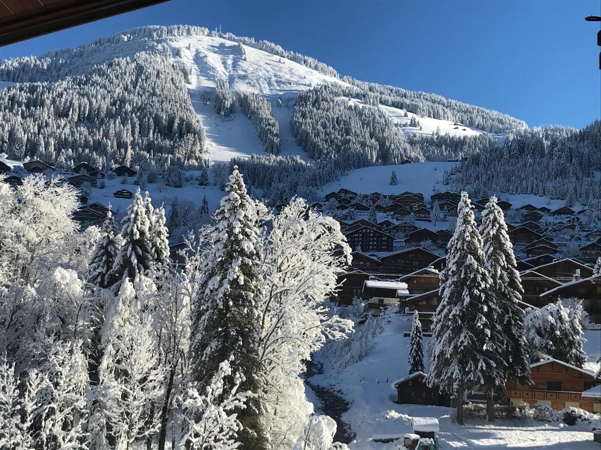 Au Bois De Lune Chatel Exterior photo