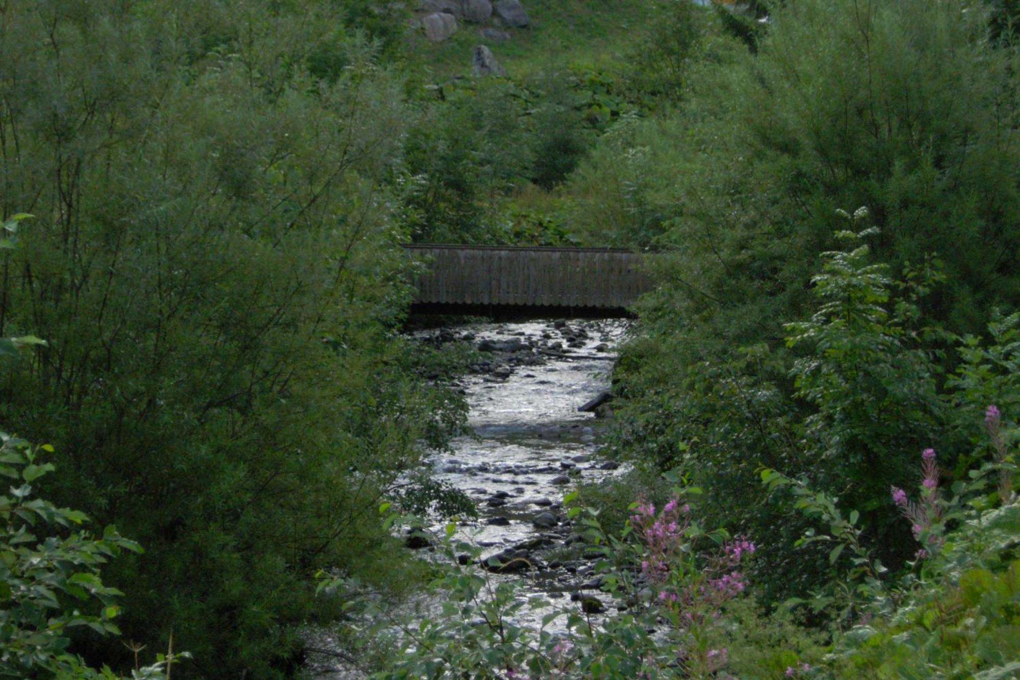 Au Bois De Lune Chatel Exterior photo