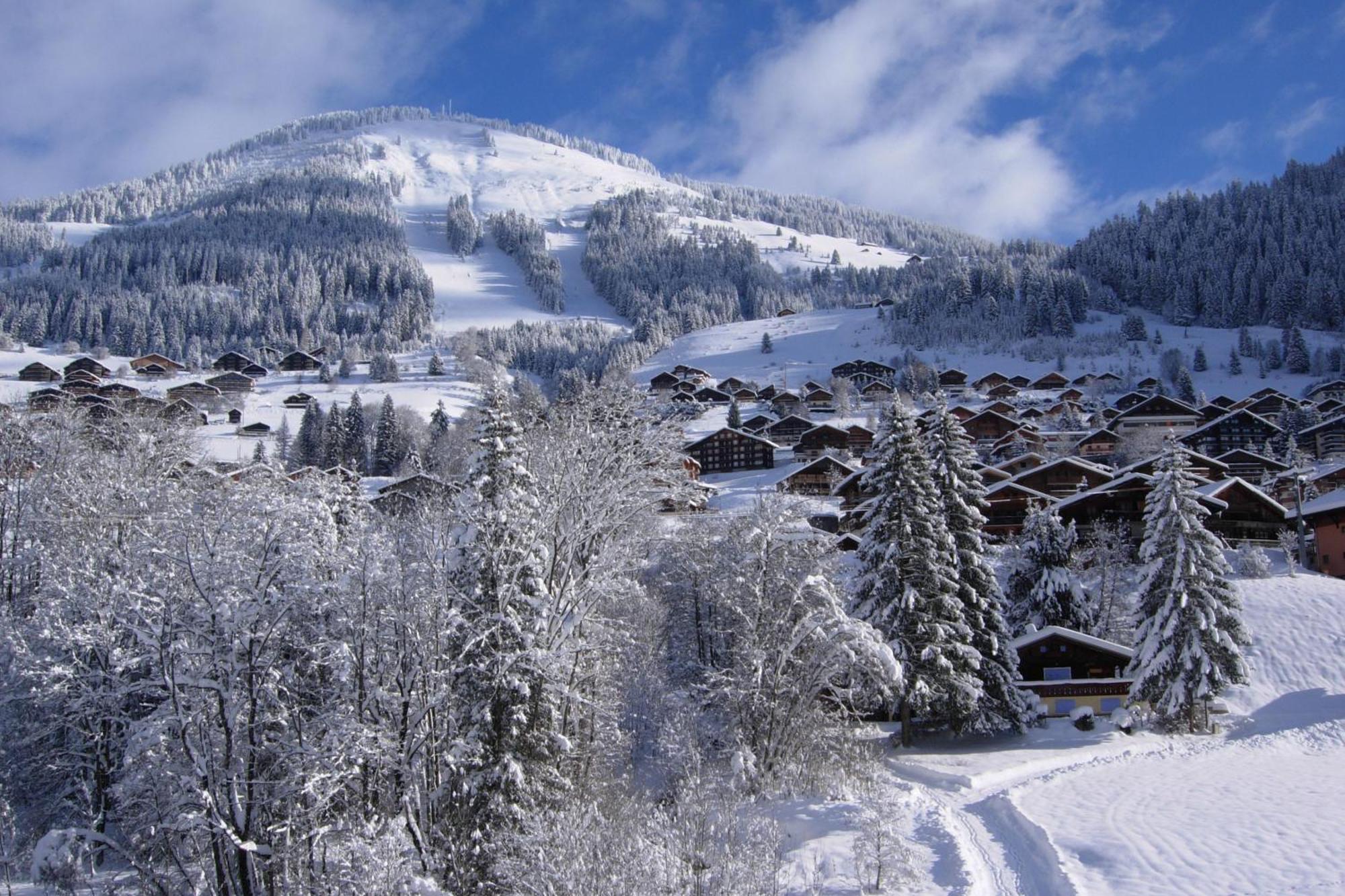 Au Bois De Lune Chatel Exterior photo