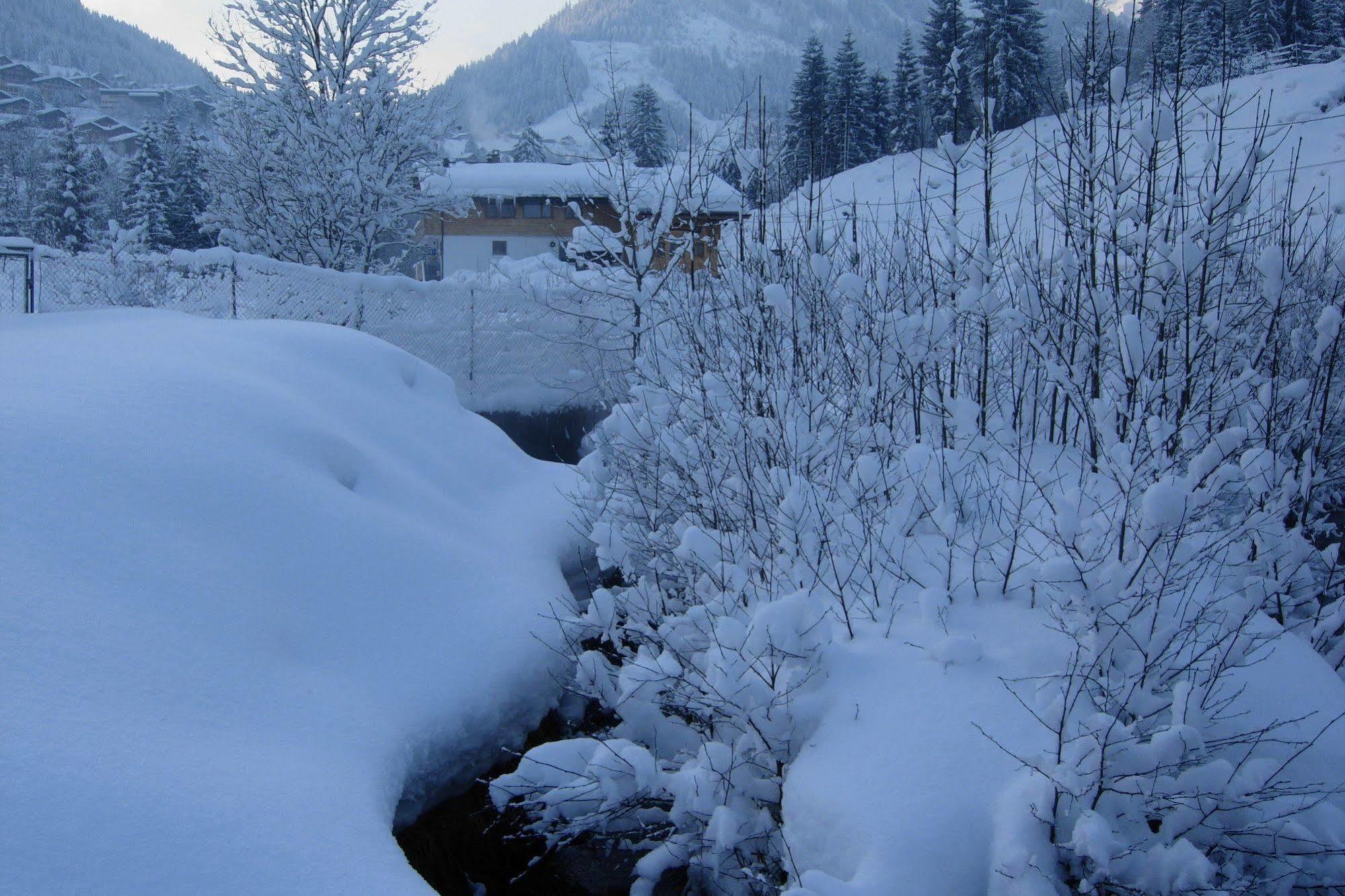 Au Bois De Lune Chatel Exterior photo